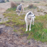 /album/198/whatsapp-image-2025-12-06-at-14-19-15-jpeg/